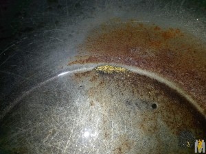 20170818_200229.jpg