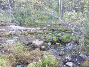 IMG_20170909_181935.jpg