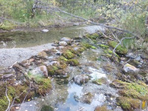IMG_20170909_181948.jpg