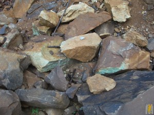 DSCF3809.JPG
