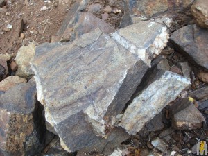 DSCF3816.JPG