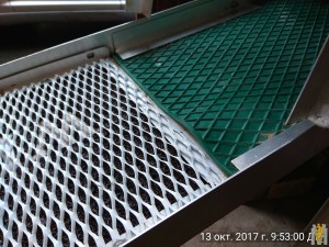 IMG_20171013_095300.jpg