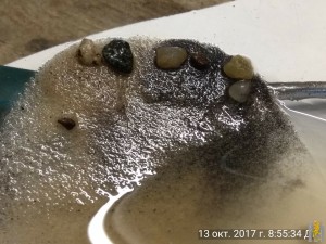 IMG_20171013_085534.jpg