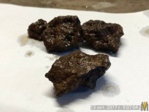 IMG_20171013_090704.jpg