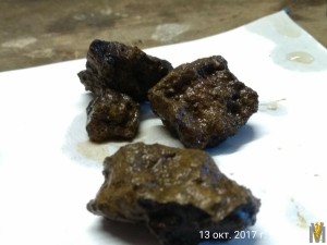 IMG_20171013_090757.jpg