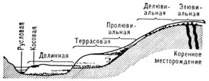 232742176.jpg