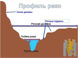 pic-00813.jpg