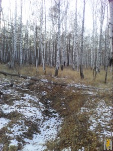 Ключ.jpg