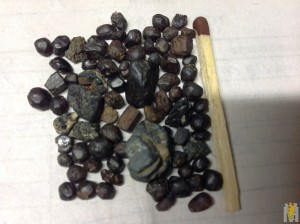 IMG_2333.JPG