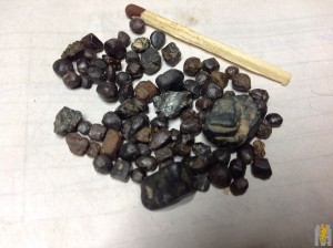 IMG_2342.JPG