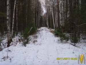 SDC19215.JPG