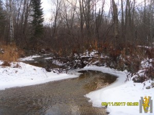 SDC19218.JPG