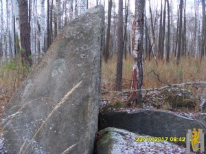 SDC19198.JPG