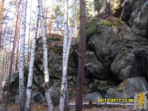 SDC19202.JPG