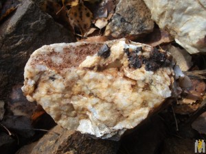 DSCF3817.JPG