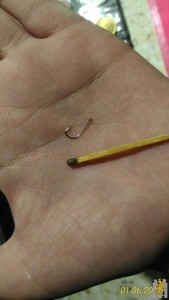 P_20180106_211615_1_p[1].jpg