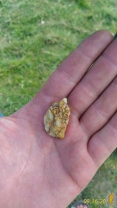 P_20170916_141425_1_p.jpg