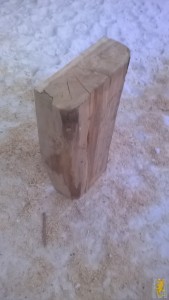 WP_20180126_17_15_34_Pro.jpg