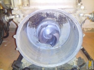 IMG_20161019_194757.jpg