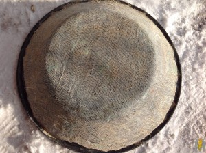IMG_2530.JPG