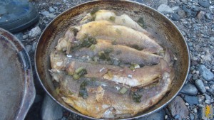 DSC02653.JPG