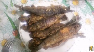20171118_214713.jpg