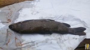 20170714_094017.jpg