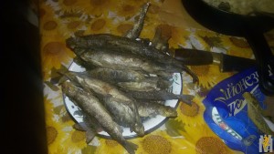 20160920_063541.jpg