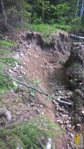 WP_20160614_10_55_13_Pro.jpg
