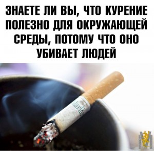 evg8QWNDPzU.jpg