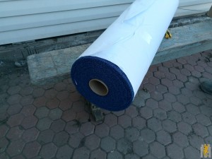 P80414-170821.jpg