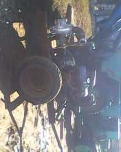 IMG0206A.jpg