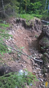 WP_20160614_10_55_12_Pro.jpg