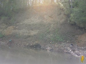 IMG_2963.JPG