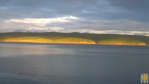 WP_20180619_04_33_35_Pro.jpg