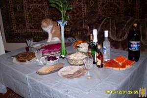 SDC10013.JPG